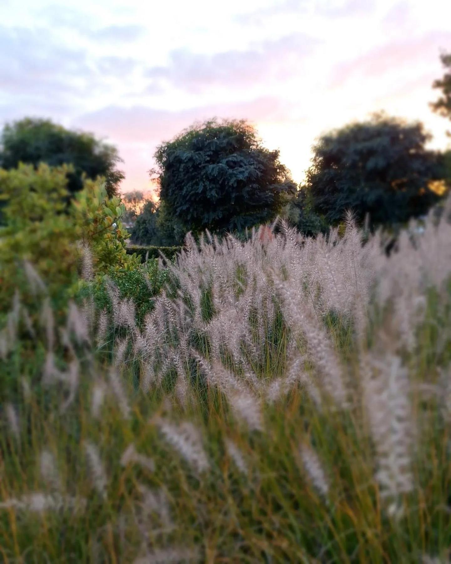 Au Clos d'Amande Lasne Extérieur photo
